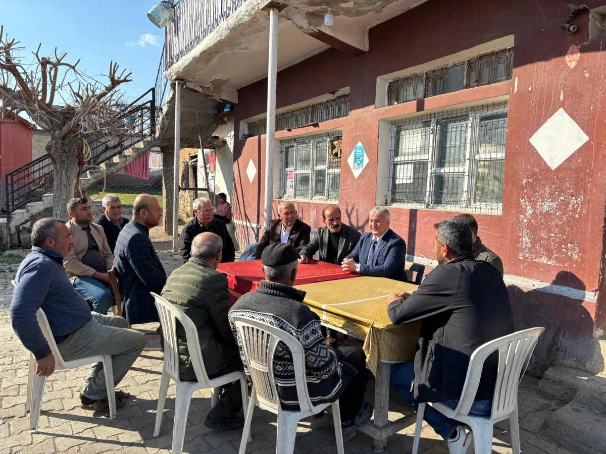 **Ceyhan Kaymakamı Ramazan Kurtyemez, Başören Mahallesi'nde Zirai Don Zararını İnceledi**